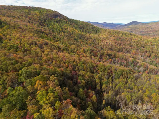 a view of a large mountain range with lush green forest