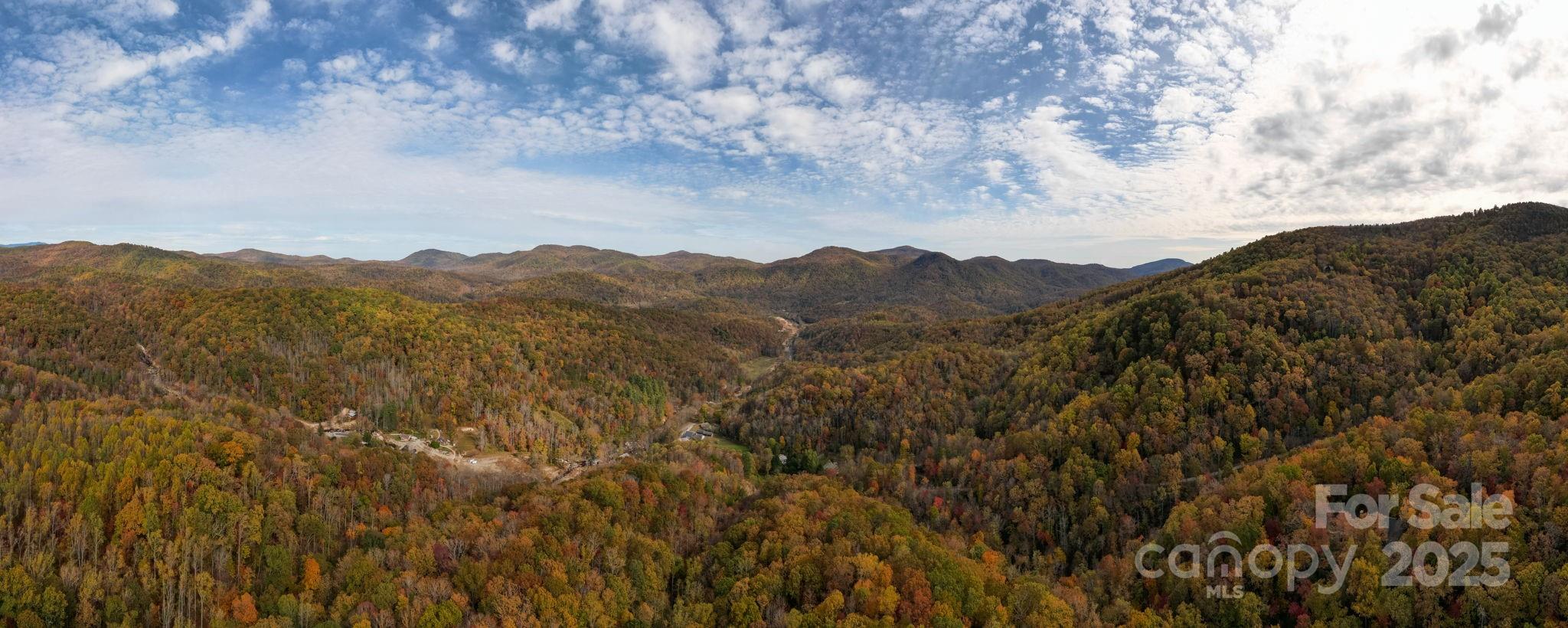 4 B Lower Flat Creek Road Hendersonville, NC 28792 - Photo 24 of 25 a view of a large mountain range with lush green forest