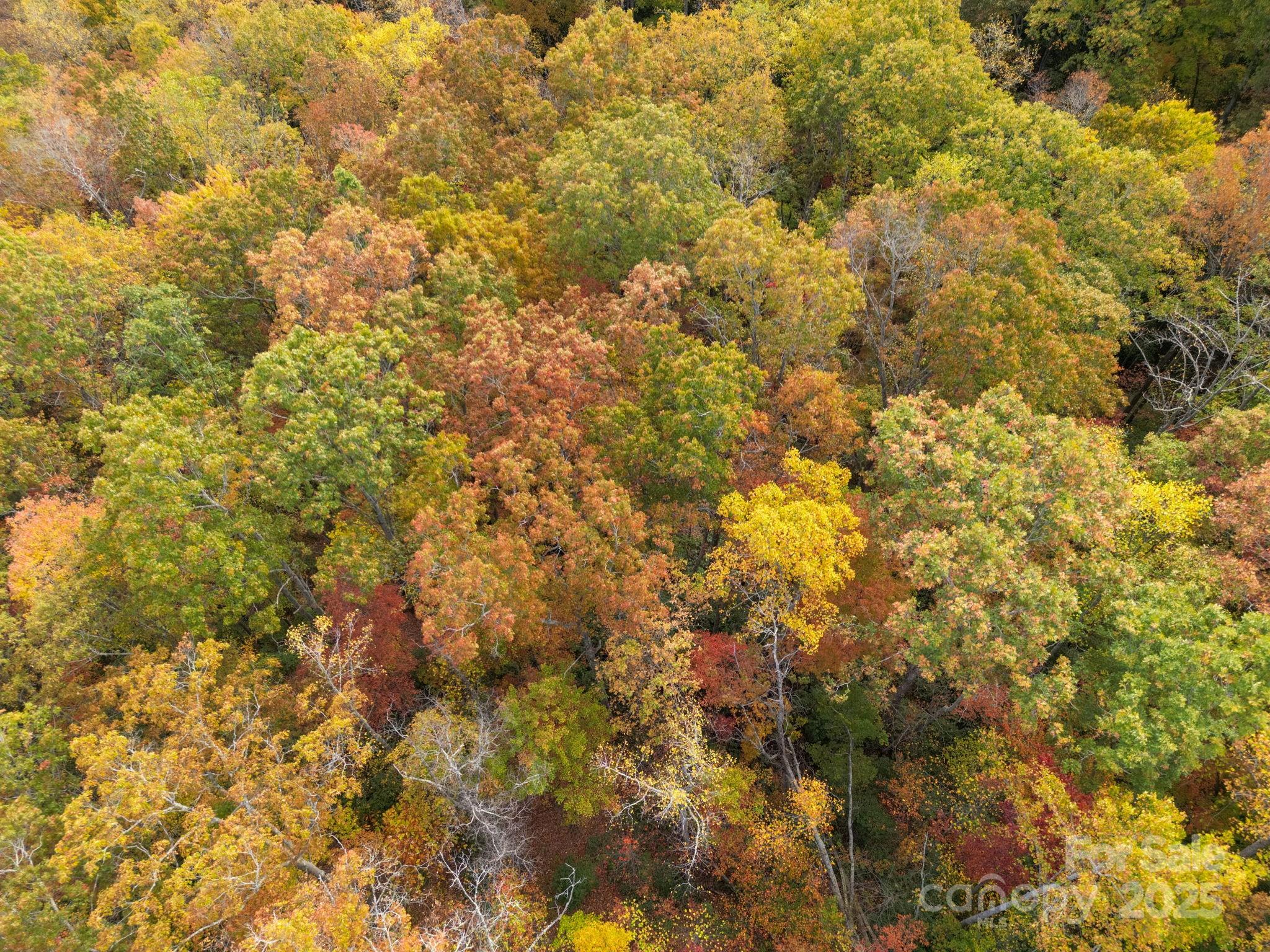 4 B Lower Flat Creek Road Hendersonville, NC 28792 - Photo 25 of 25 a view of a yard