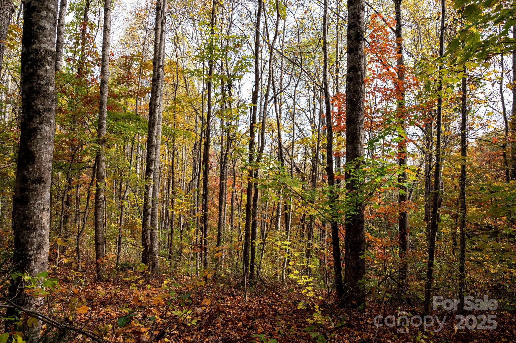 4 B Lower Flat Creek Road Hendersonville, NC 28792 - Photo 5 of 25
