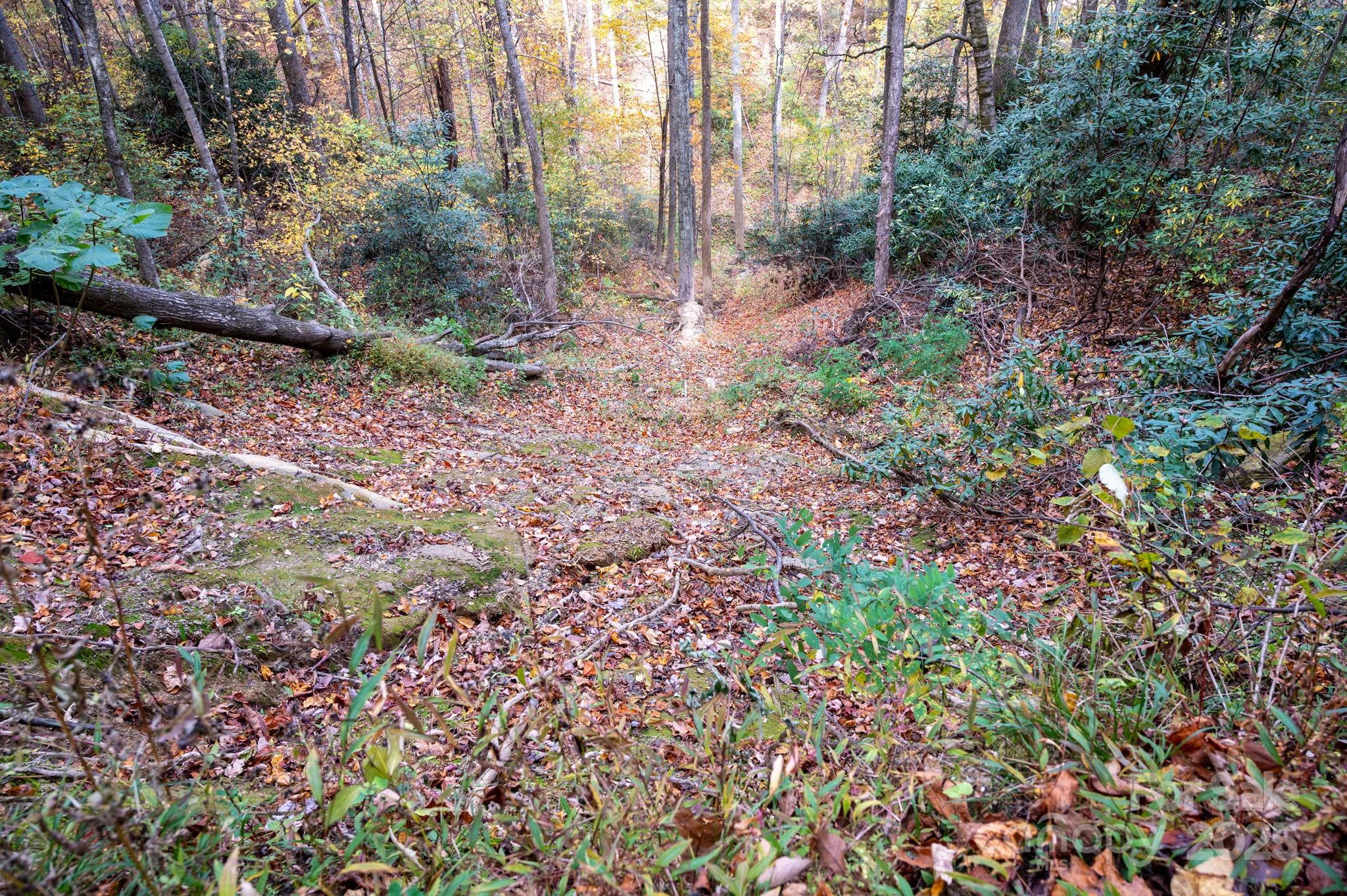 4 B Lower Flat Creek Road Hendersonville, NC 28792 - Photo 6 of 25 a view of a yard with plants and tree