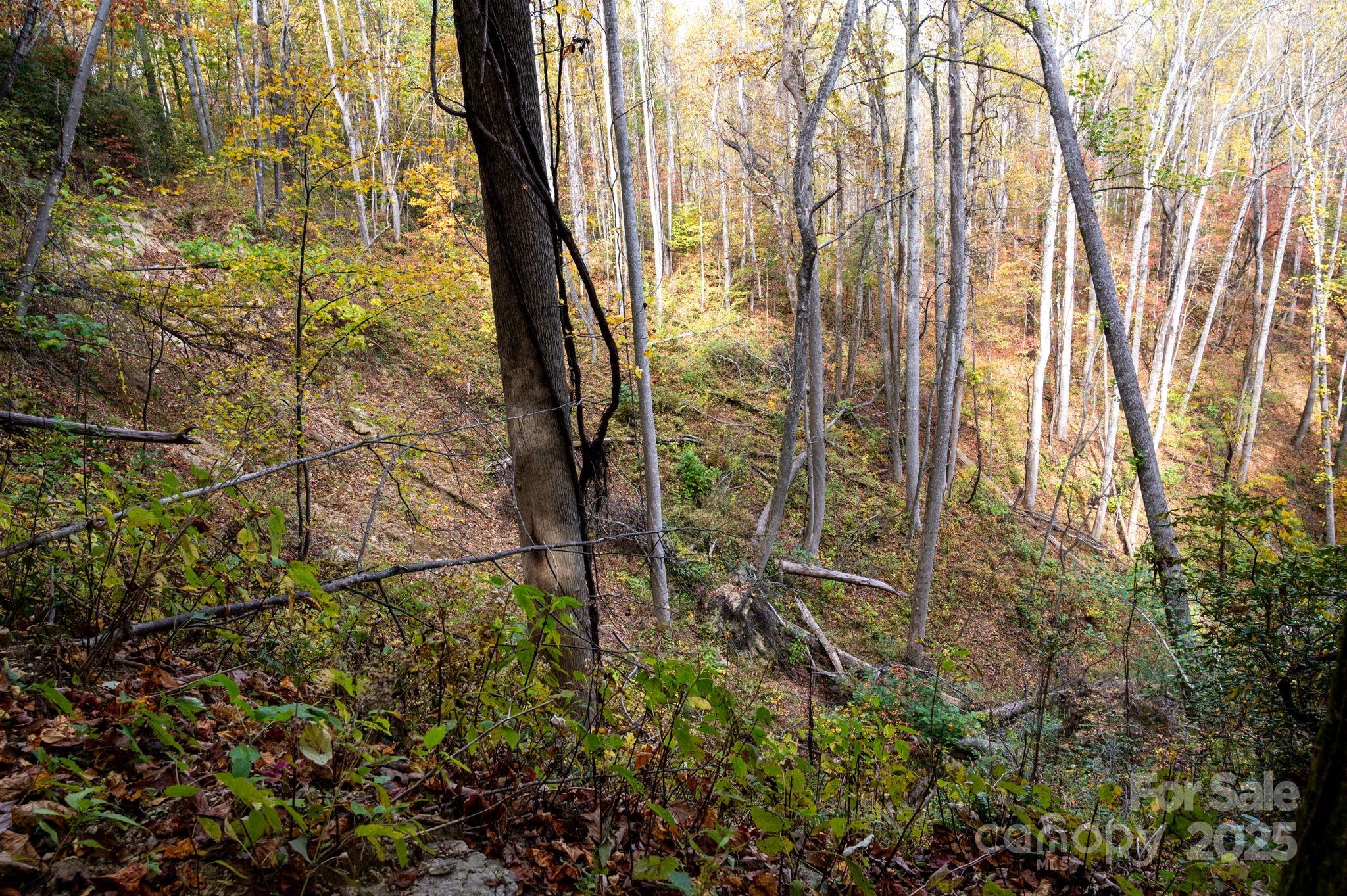 4 B Lower Flat Creek Road Hendersonville, NC 28792 - Photo 7 of 25 a backyard of a building with lots of green space and garden view