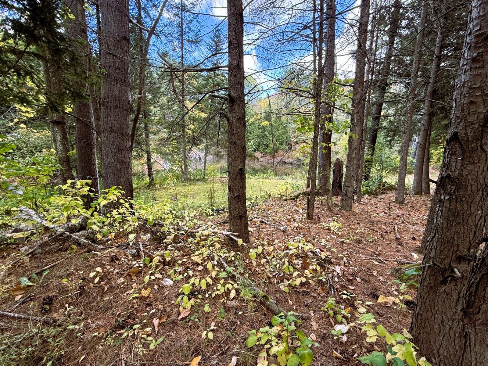 690 Little Ascutney Road Weathersfield, VT 05151 - Photo 33 of 35 Gallery Image 33