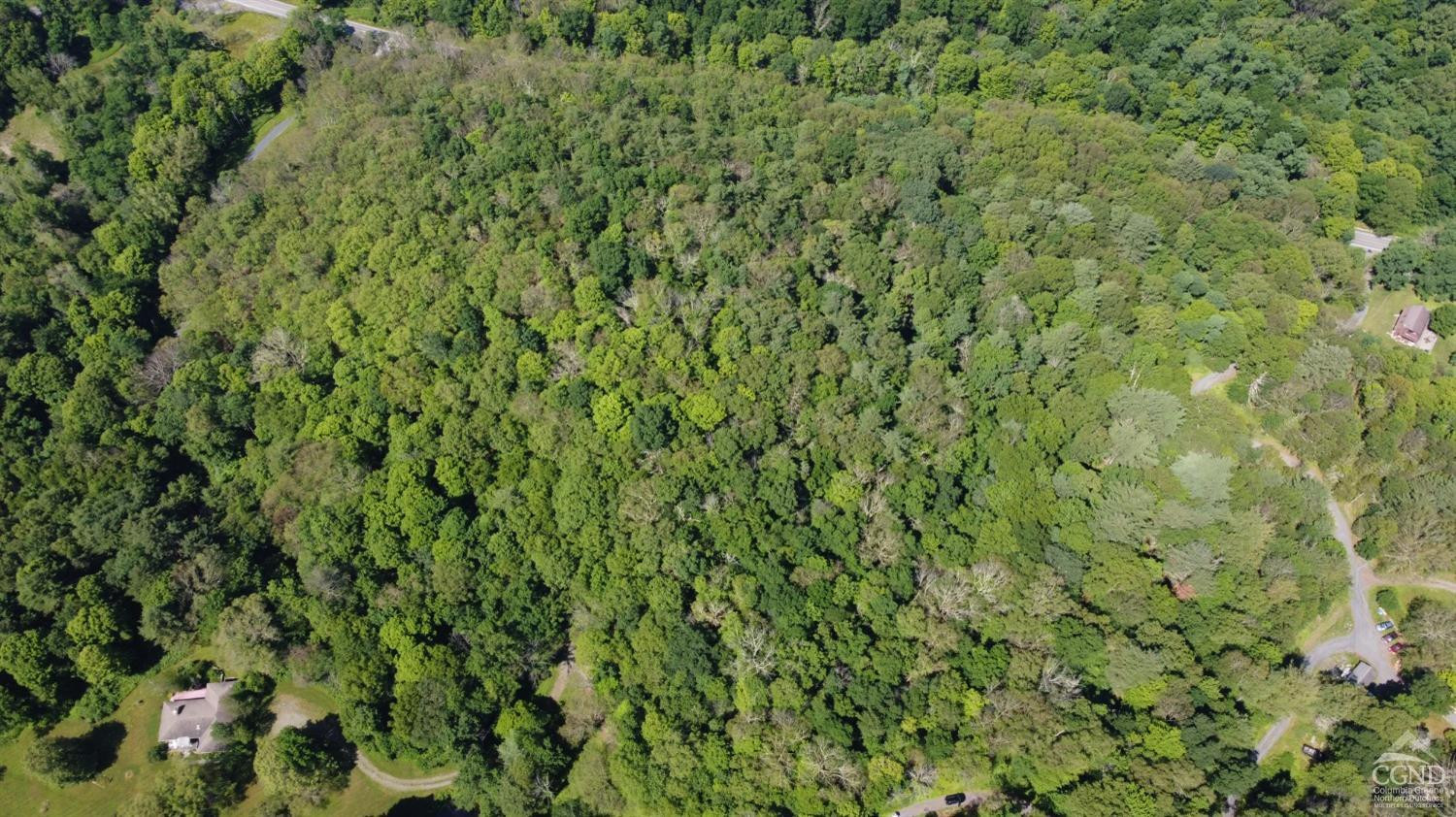 0 Mt Ross Road Pine Plains, NY 12567 - Photo 2 of 6 Photo 2