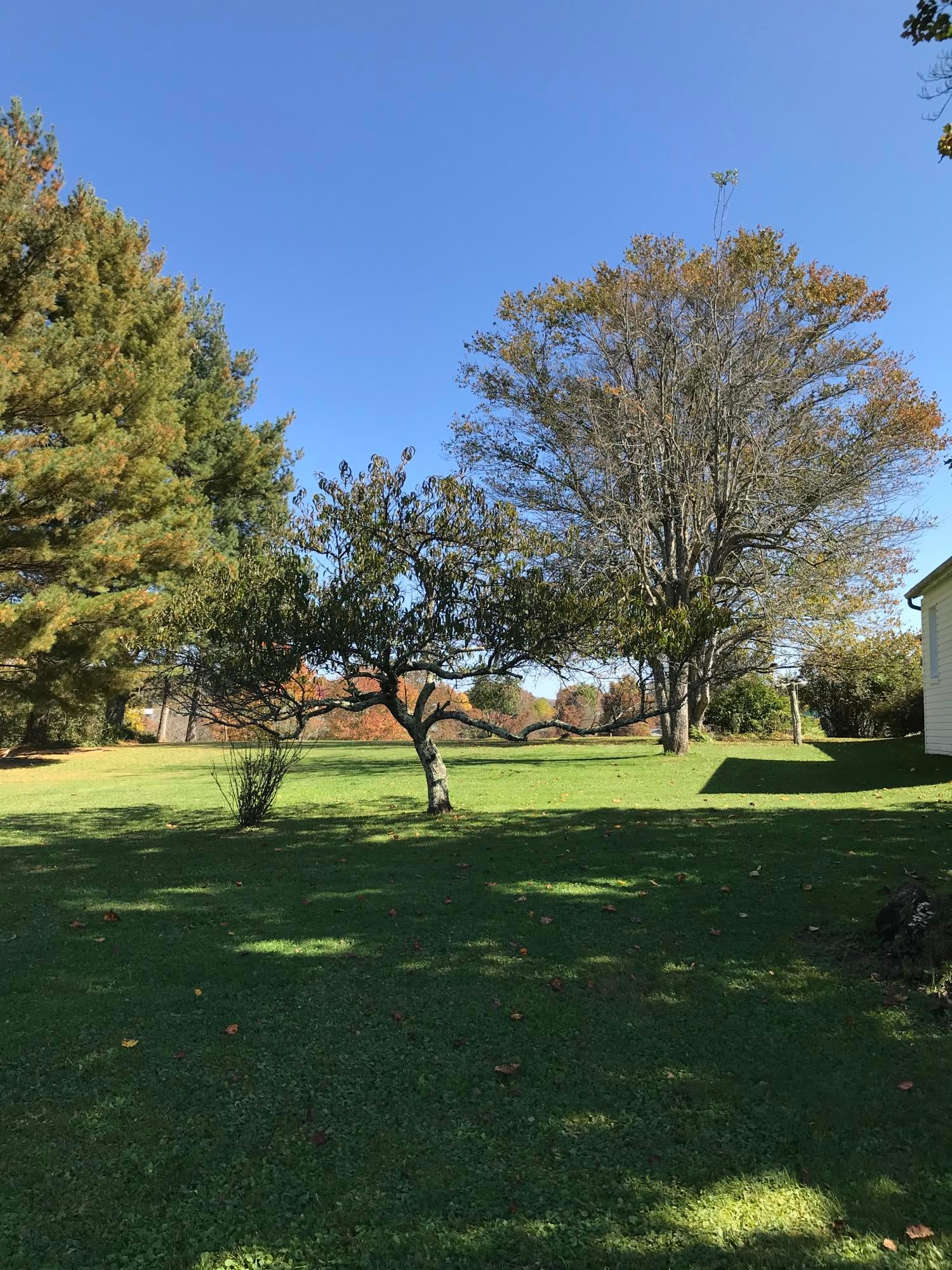 2237 Vago Road Frankford, WV 24938 - Photo 28 of 32 Gallery Image 28