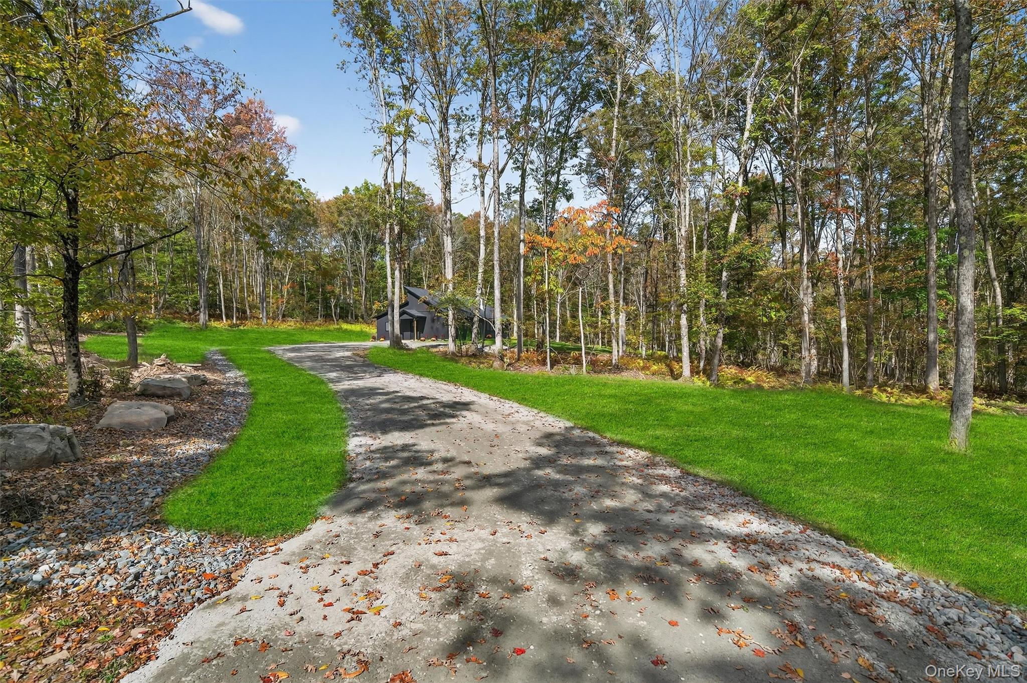 View of community featuring a forest view and a yard