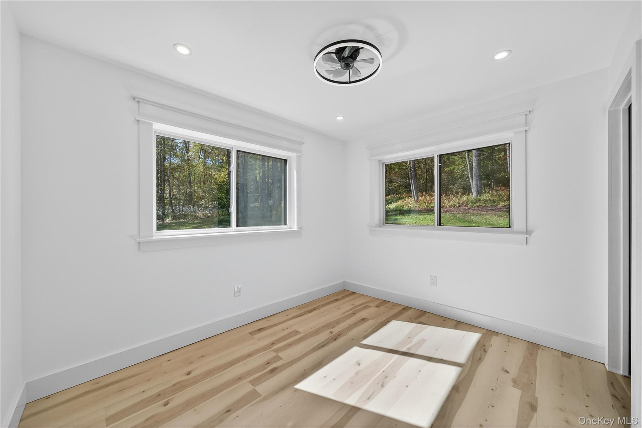 273 Perry Pond Road Narrowsburg, NY 12764 - Photo 23 of 49 Spare room with healthy amount of natural light, light wood finished floors, and recessed lighting