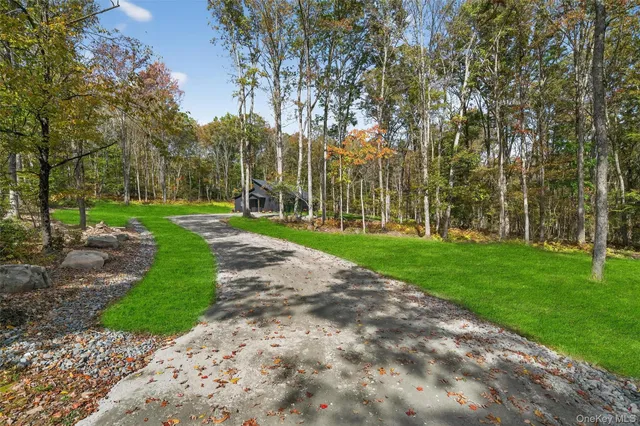 a view of a park with large trees