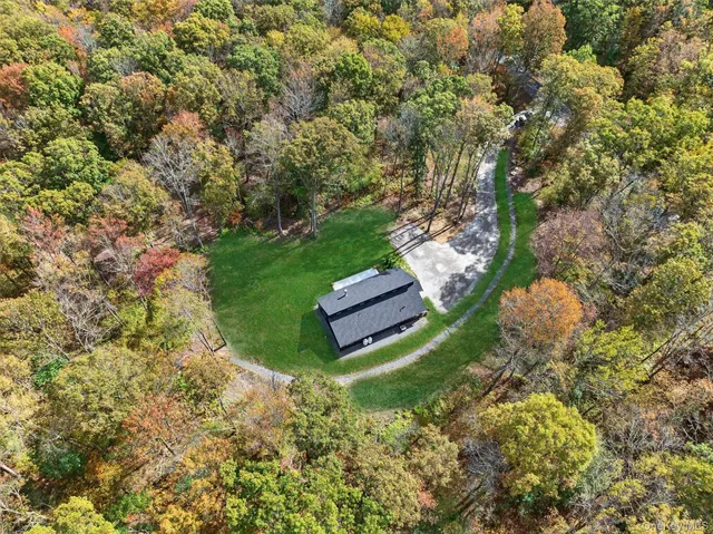a view of a backyard with plants
