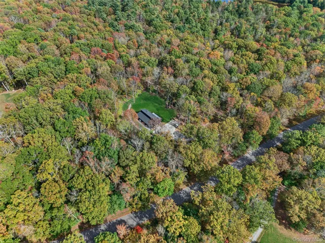 a view of a big yard with plants and large trees