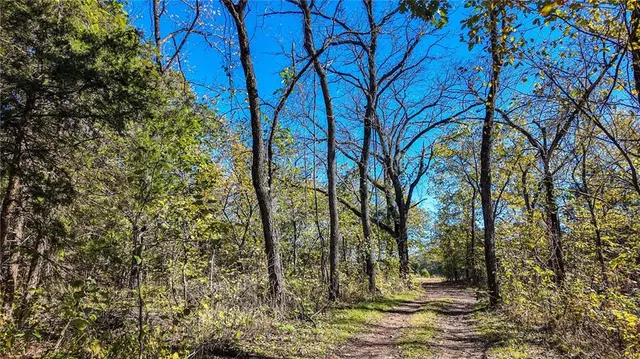 $435,000 | 5125 Southeast 601st Road, Collins, MO 64738