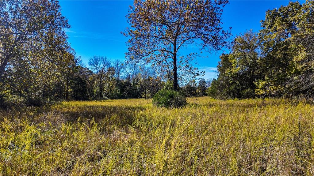 5125 Southeast 601st Road Collins, MO 64738 - Photo 22 of 39