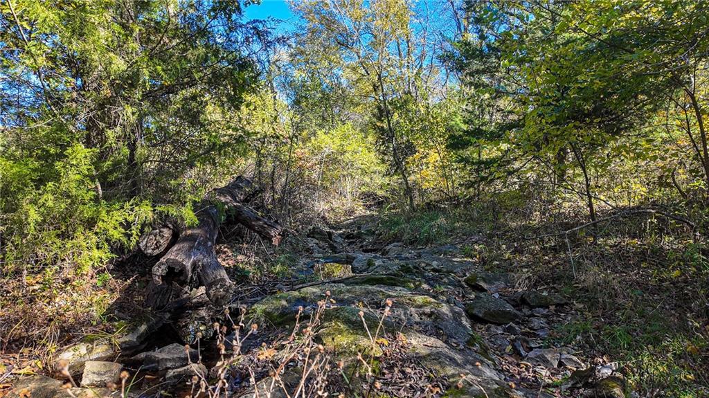 5125 Southeast 601st Road Collins, MO 64738 - Photo 23 of 39