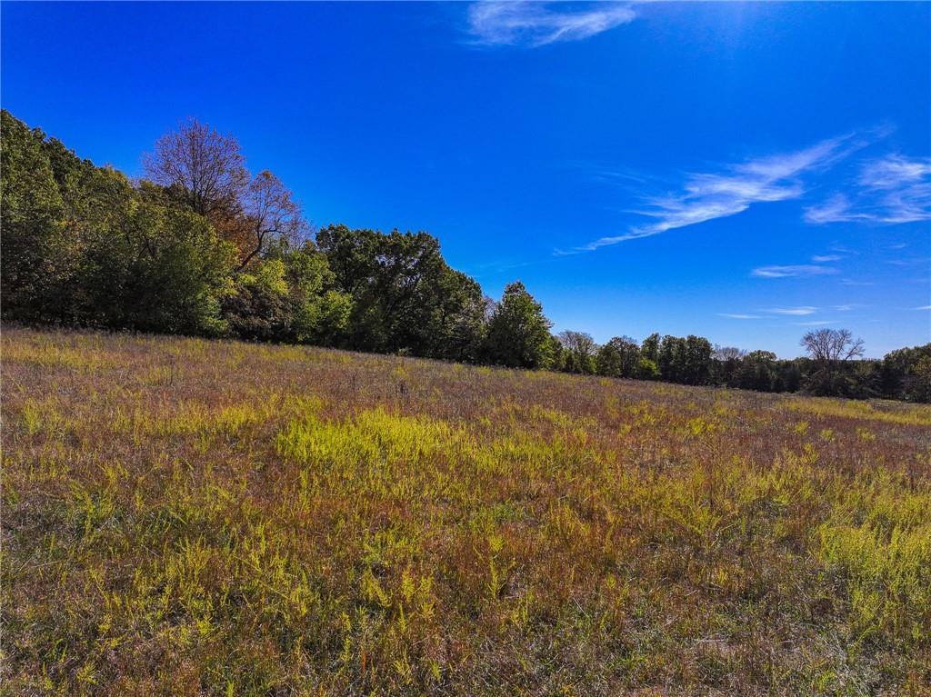 5125 Southeast 601st Road Collins, MO 64738 - Photo 31 of 39