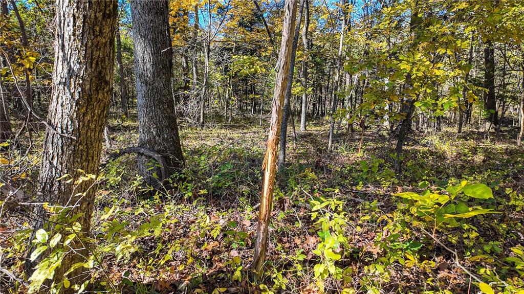 5125 Southeast 601st Road Collins, MO 64738 - Photo 4 of 39