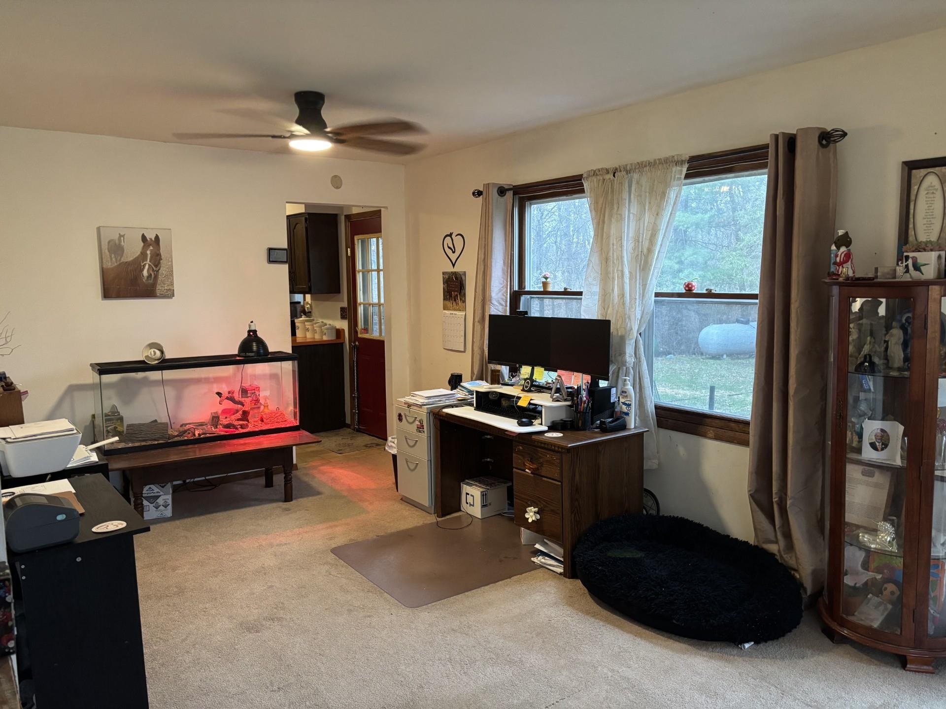 7037 Coon Rock Road Arena, WI 53503 - Photo 12 of 29