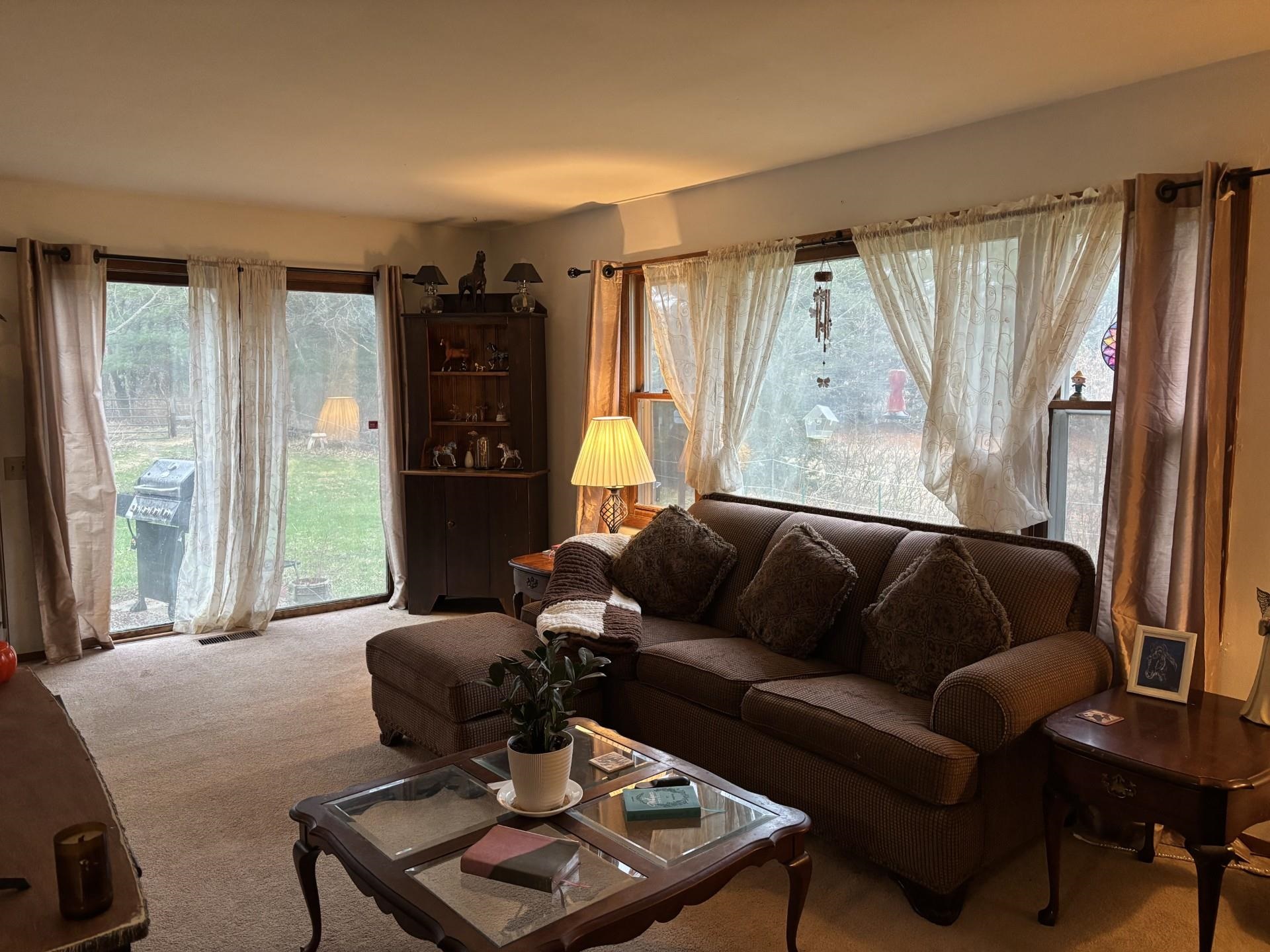 7037 Coon Rock Road Arena, WI 53503 - Photo 15 of 29