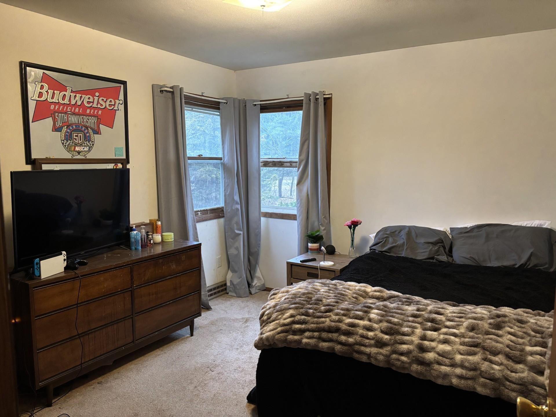 7037 Coon Rock Road Arena, WI 53503 - Photo 23 of 29
