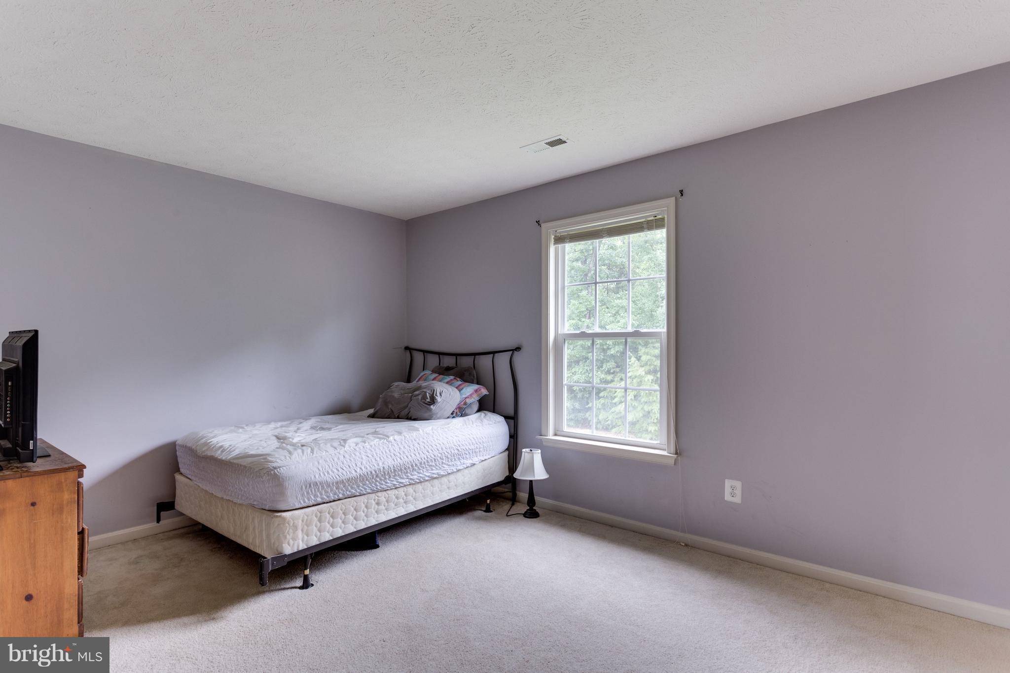 35381 Pheasant Ridge Road Locust Grove, VA 22508 - Photo 15 of 17 Bedroom