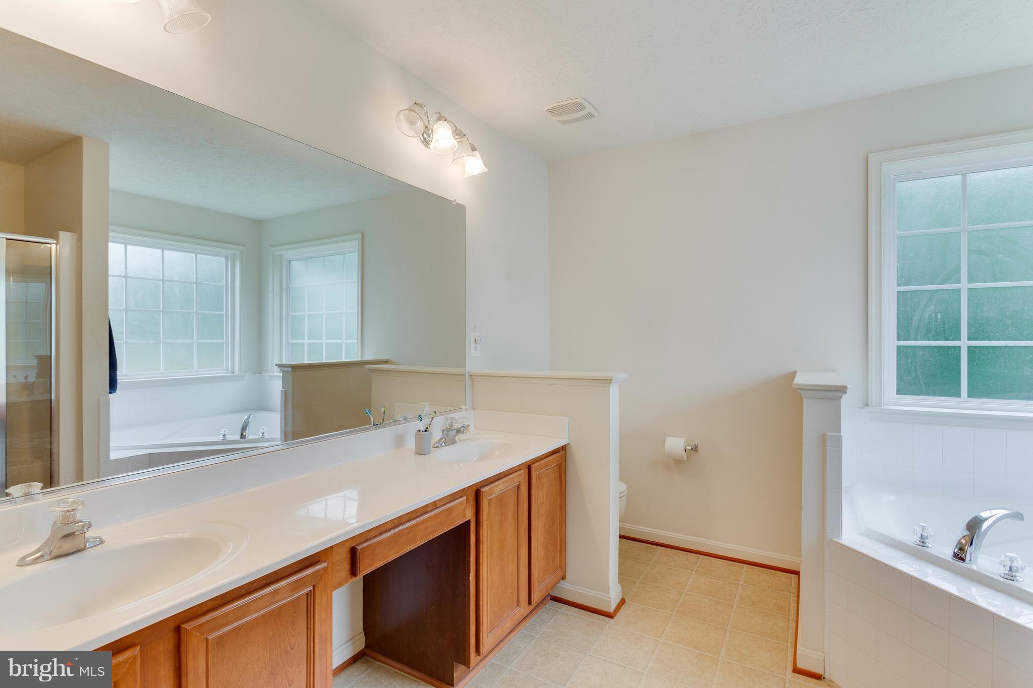 35381 Pheasant Ridge Road Locust Grove, VA 22508 - Photo 10 of 17 Bath (Master)