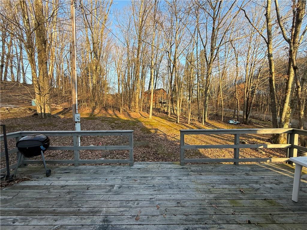 1106 Gary Road Rockwood, PA 15557 - Photo 35 of 46 a view of outdoor space with street