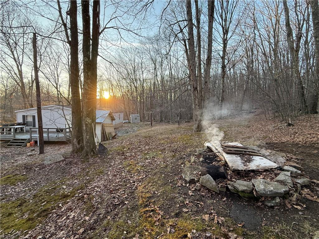 1106 Gary Road Rockwood, PA 15557 - Photo 42 of 46 a backyard of a house with lots of green space