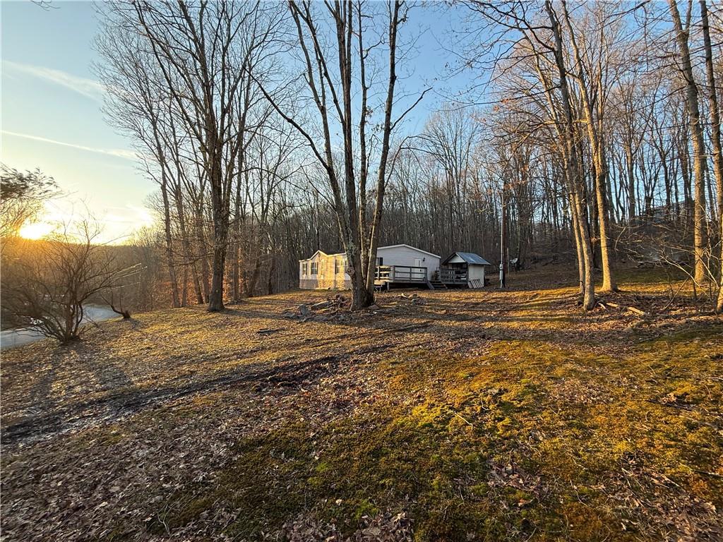 1106 Gary Road Rockwood, PA 15557 - Photo 43 of 46 a view of yard with tree