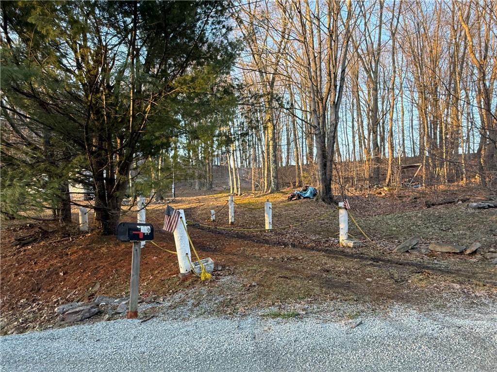 1106 Gary Road Rockwood, PA 15557 - Photo 46 of 46 a view of a park with large trees