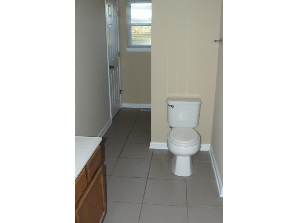 112 Good Road Fall Branch, TN 37656 - Photo 6 of 15 Hall Bath 2