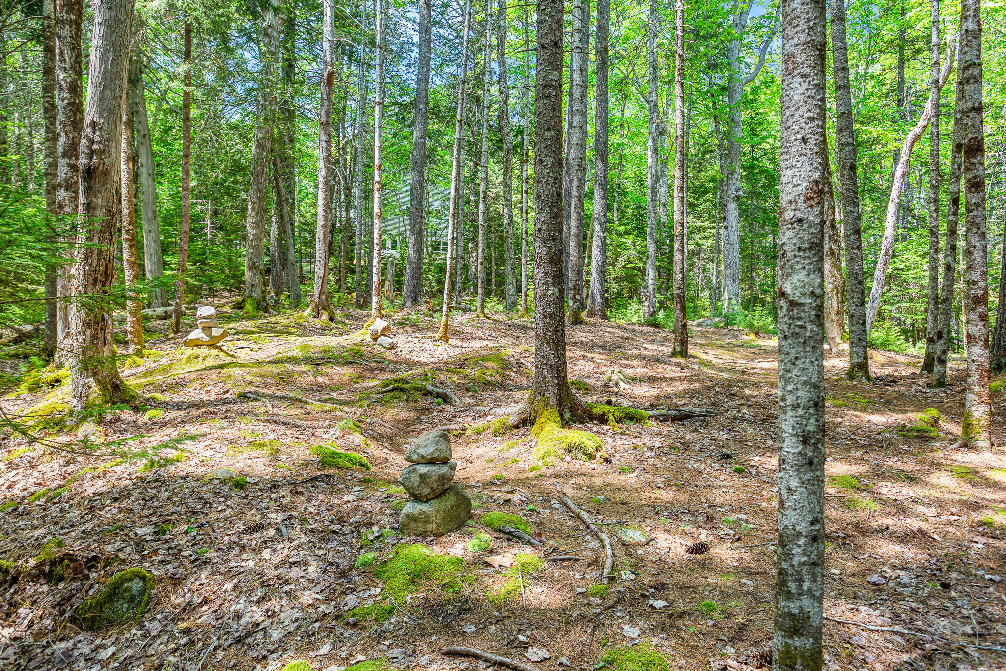 17 Denning Brook Road Mount Desert, ME 04660 - Photo 40 of 40 ME3025_40