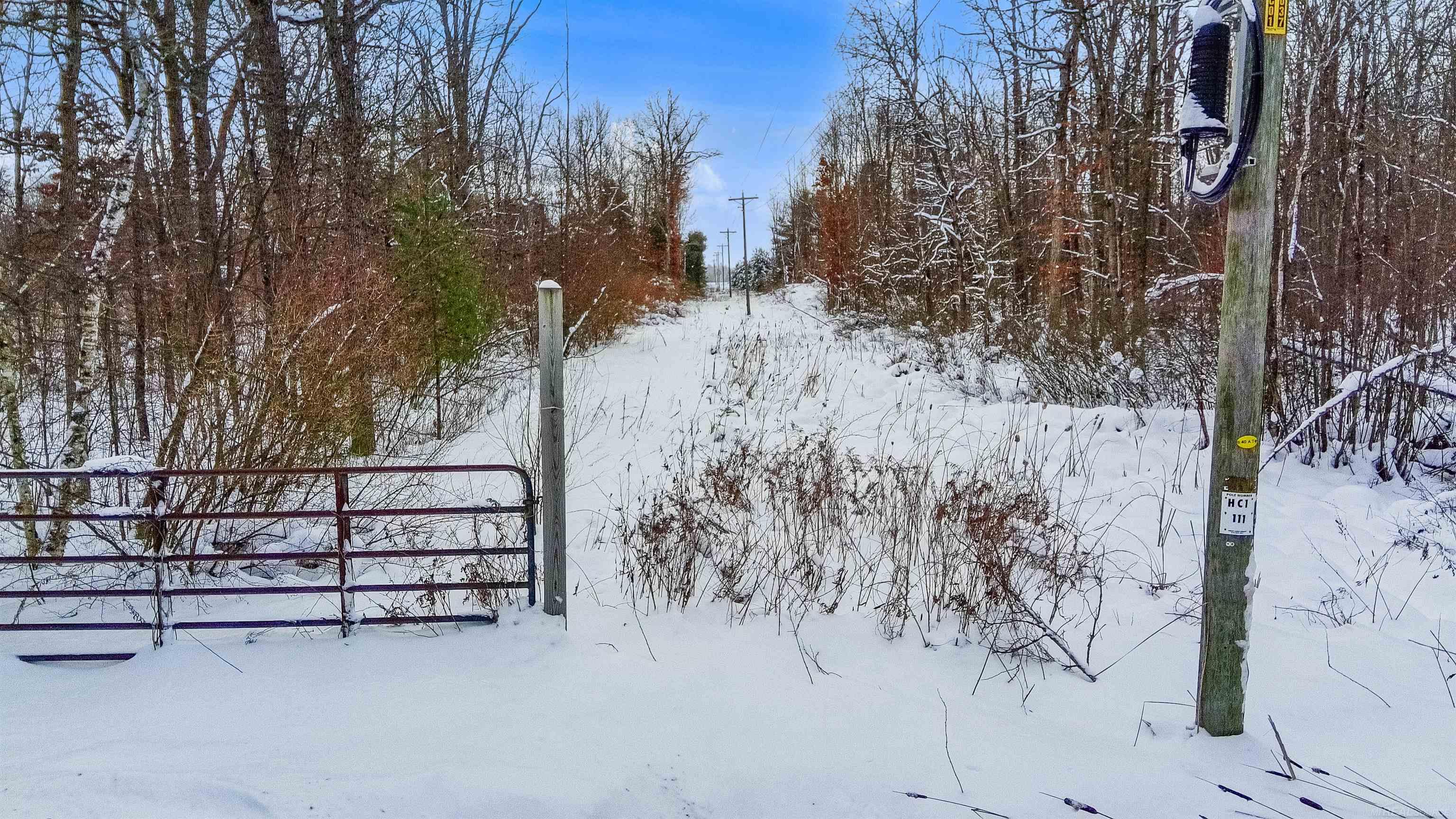 0 North Dagget Road Howard City, MI 49329 - Photo 21 of 25