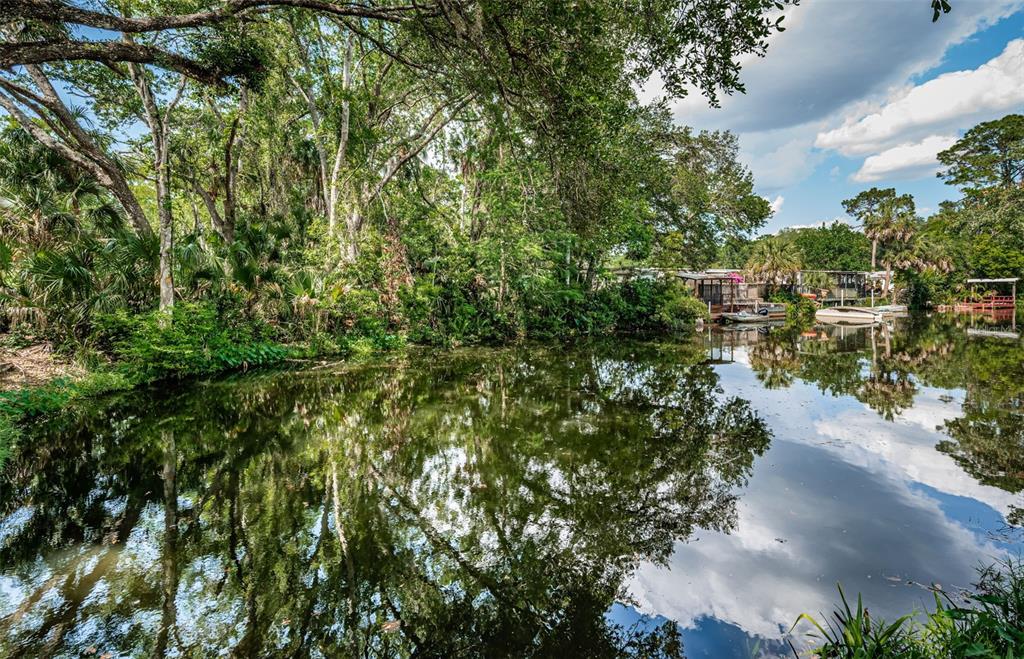 6423 Bass Road Weeki Wachee, FL 34607 - Photo 32 of 49 a view of a yard with plants and large trees