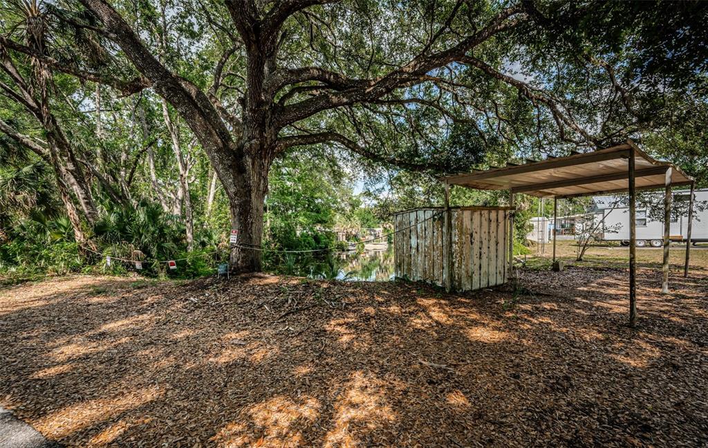 6423 Bass Road Weeki Wachee, FL 34607 - Photo 38 of 49 a view of a big yard with large trees