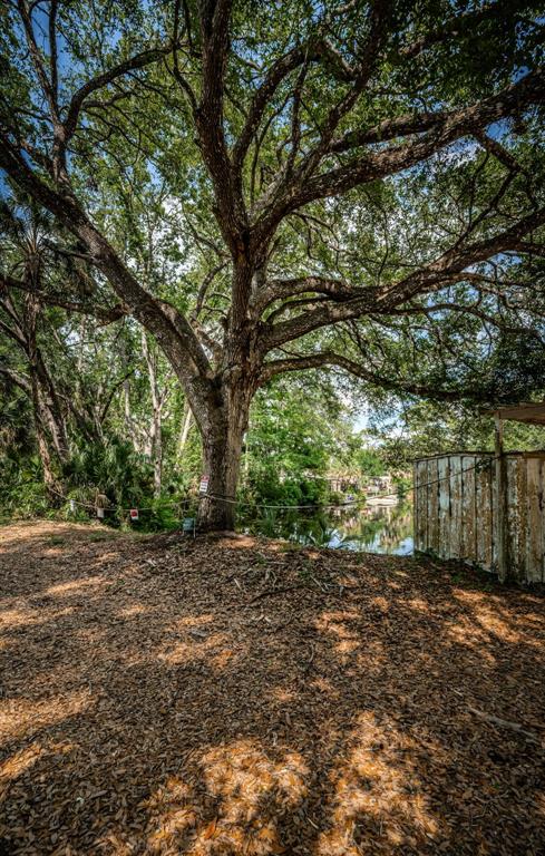 6423 Bass Road Weeki Wachee, FL 34607 - Photo 39 of 49 a view of a yard with large trees
