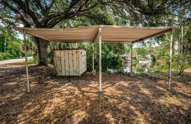 a view of a backyard with large trees