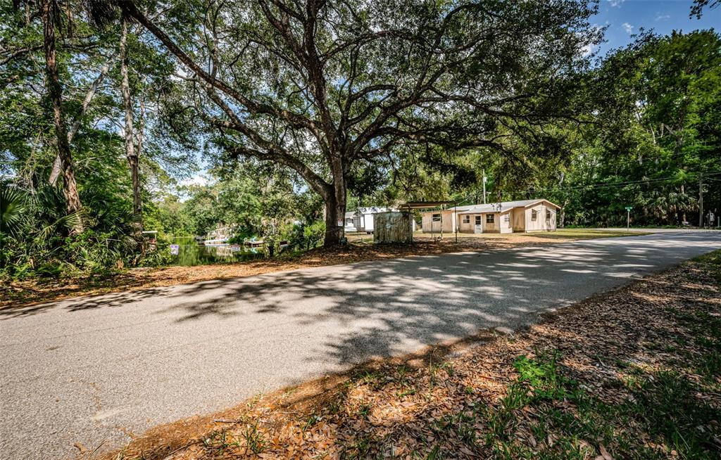 6423 Bass Road Weeki Wachee, FL 34607 - Photo 46 of 49 a view of a trees with a yard