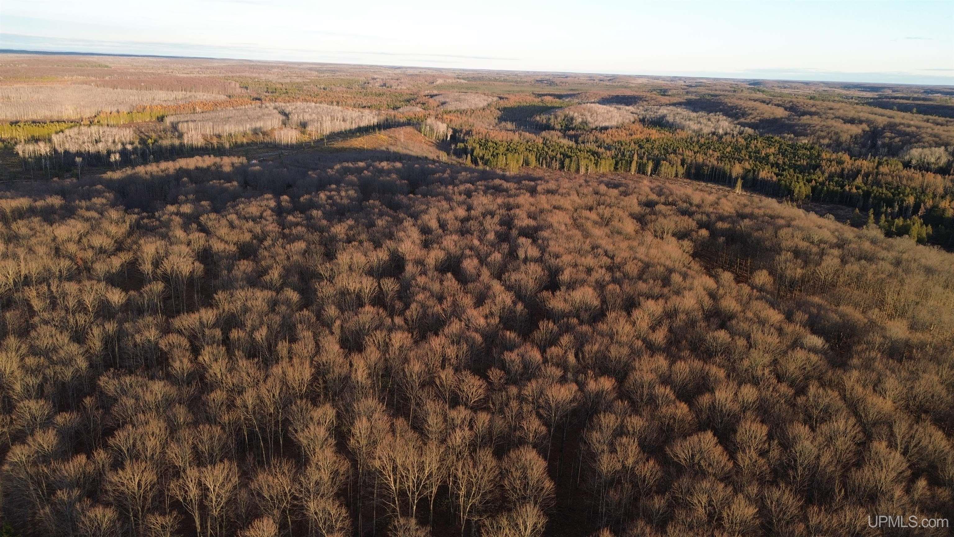 M26 M 5 Road Felch, MI 49831 - Photo 2 of 12