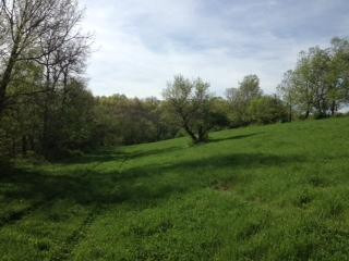 2 Keefer Road Corinth, KY 41010 - Photo 7 of 27
