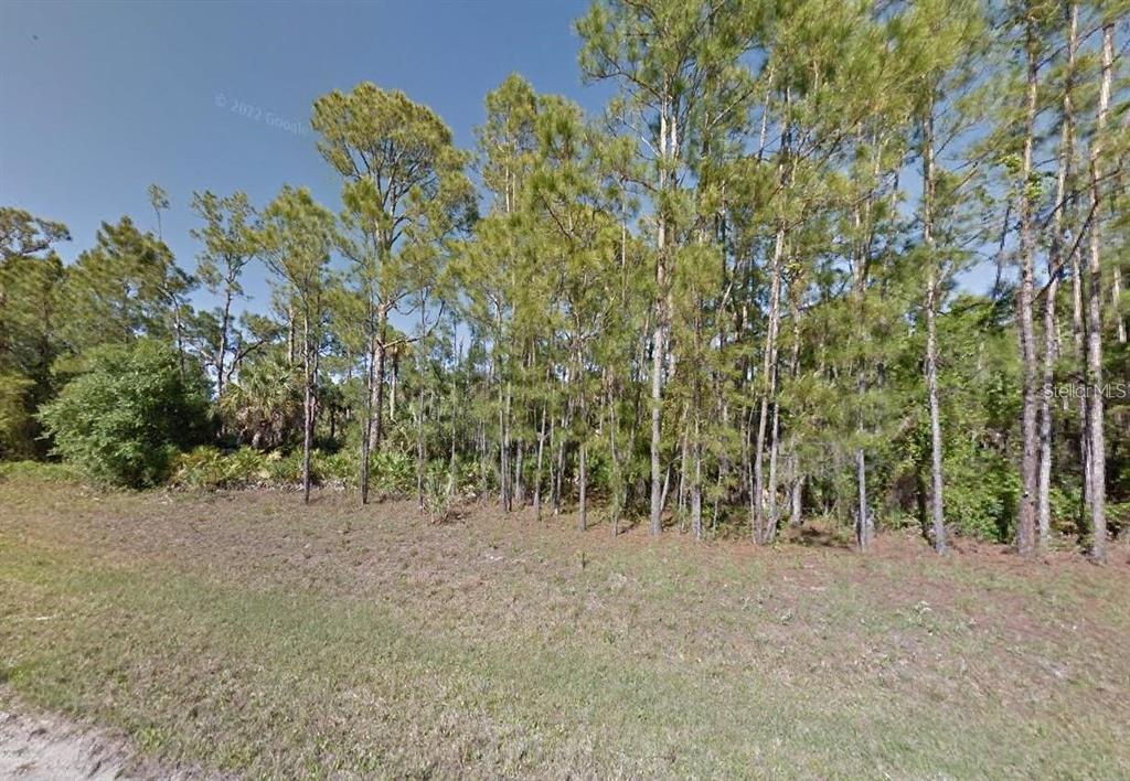 10 Stuckert St Port North Port, FL 34288 - Photo 2 of 5 a view of a forest with trees