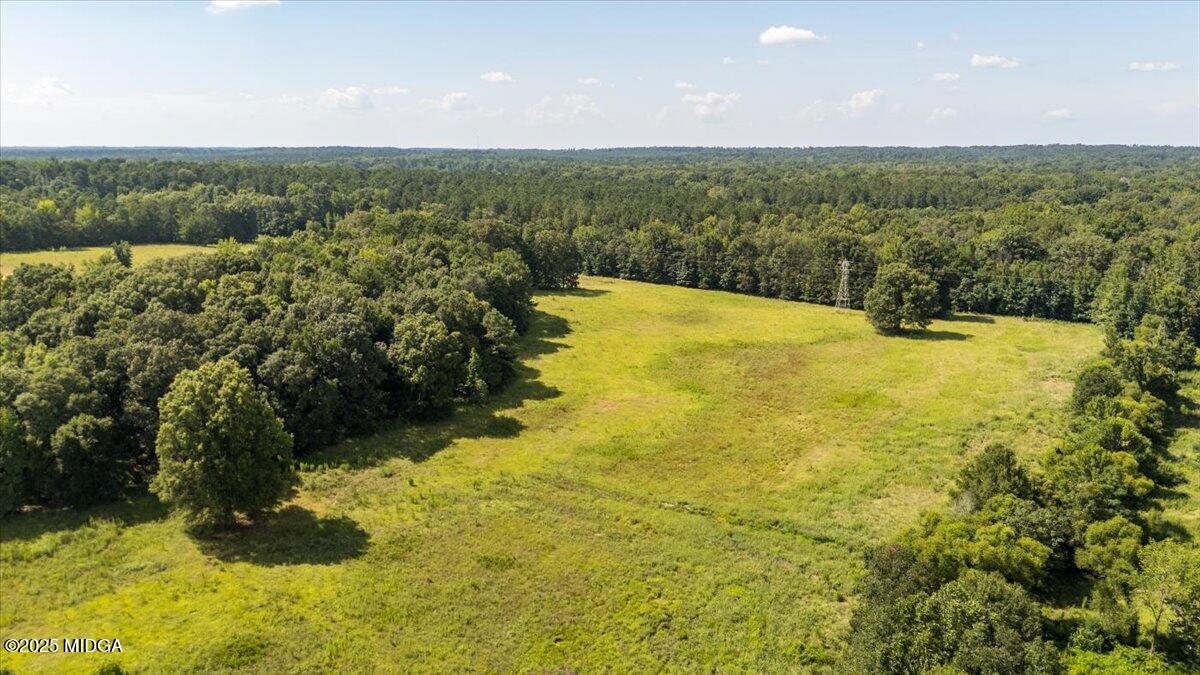 9481 Hopewell Road Musella, GA 31066 - Photo 49 of 72 a view of a lake with a yard