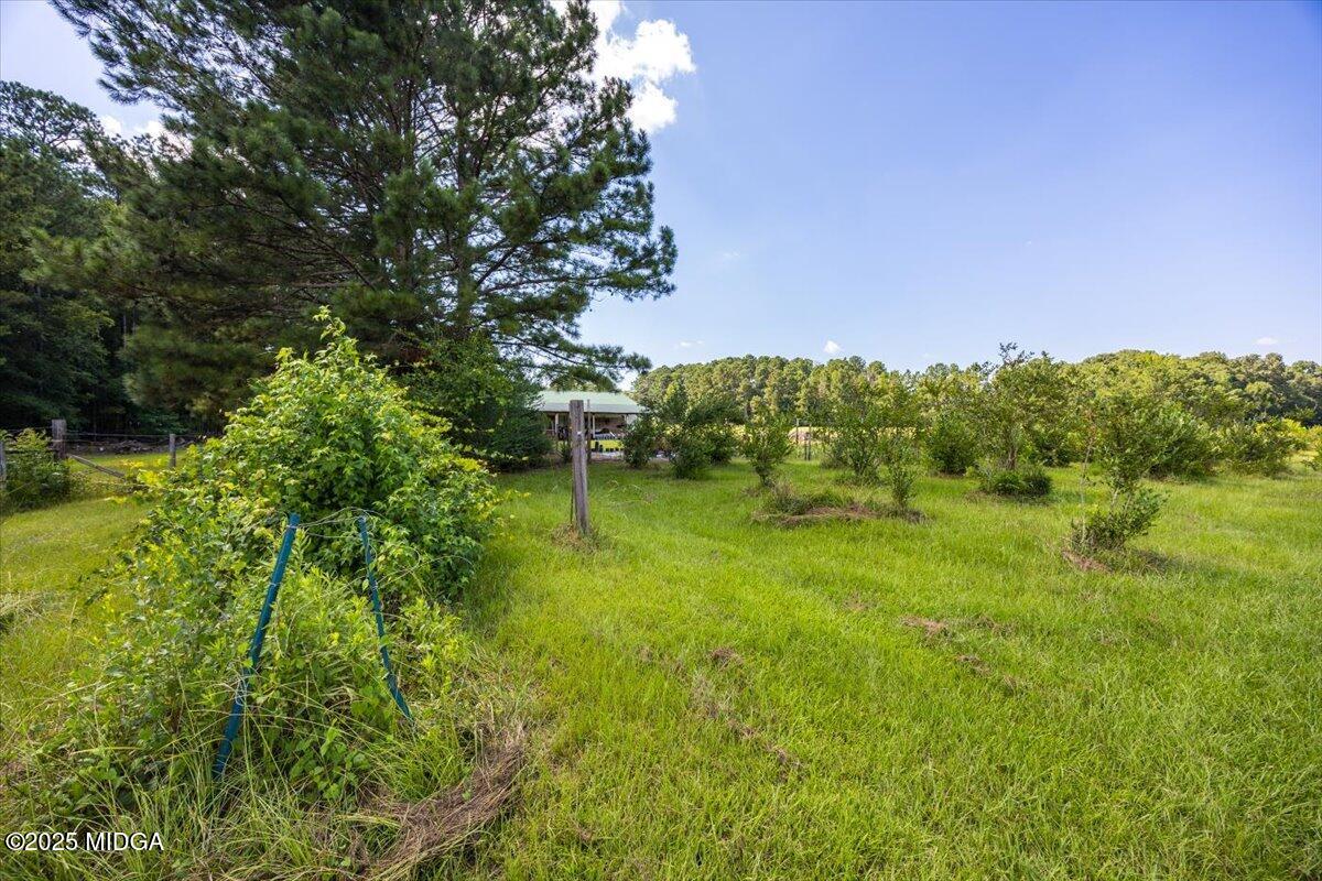 9481 Hopewell Road Musella, GA 31066 - Photo 51 of 72 a backyard of a house with lots of green space and garden