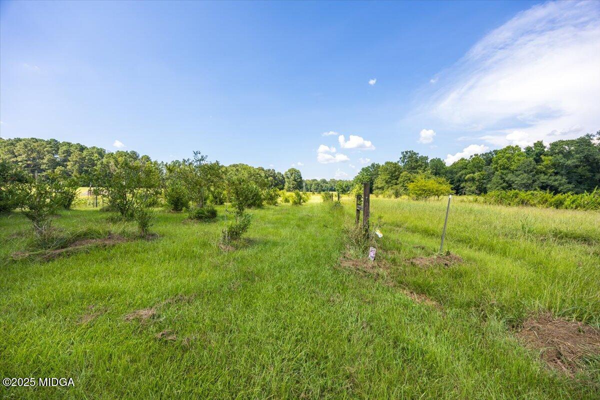 9481 Hopewell Road Musella, GA 31066 - Photo 52 of 72 Blueberry Bushes