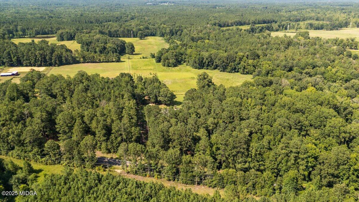 9481 Hopewell Road Musella, GA 31066 - Photo 59 of 72 View of Property