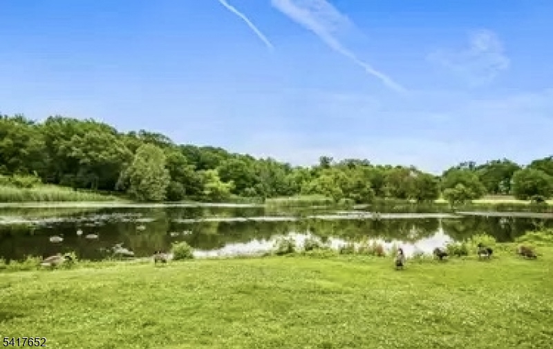 97B Troy Drive, Unit B Springfield, NJ 07081 - Photo 15 of 15