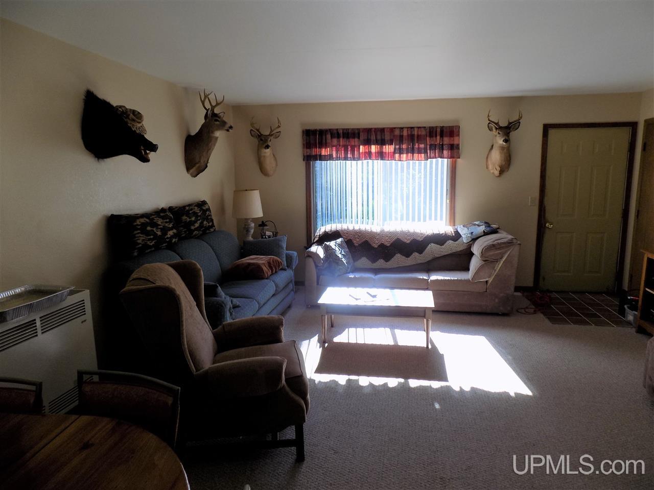 2207 West Co Road Seney, MI 49883 - Photo 9 of 32