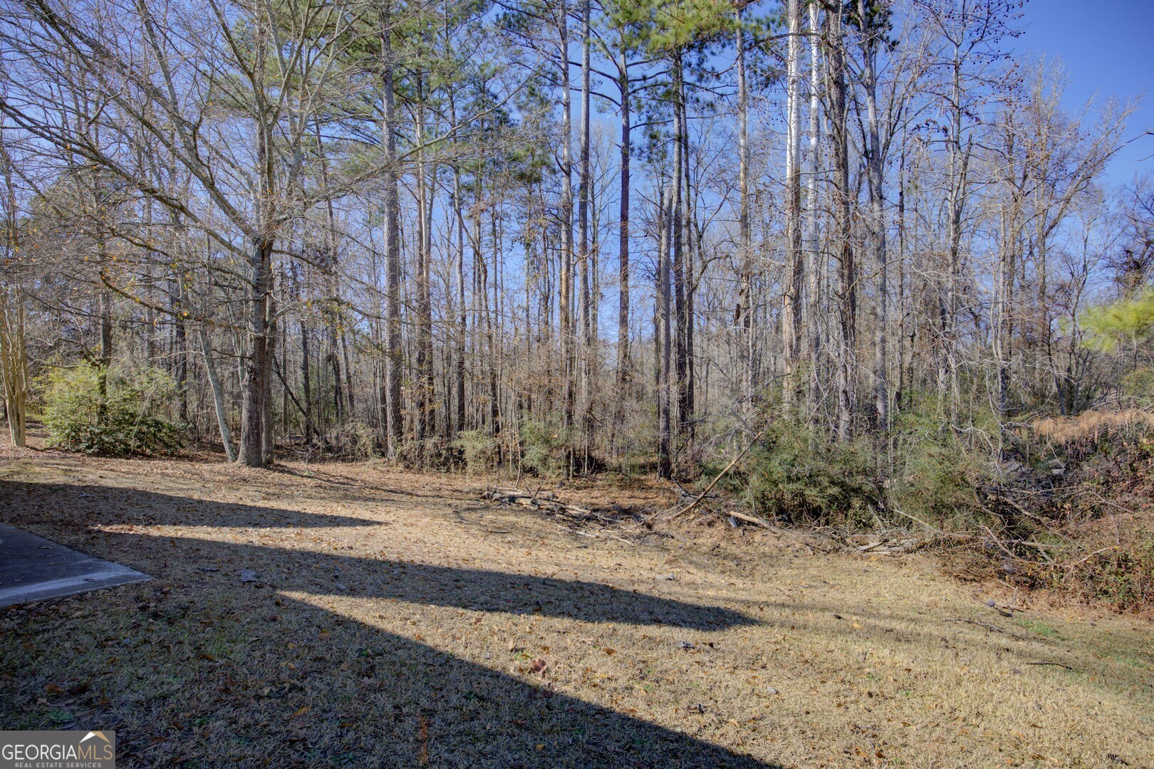 40 Brandon Drive Covington, GA 30016 - Photo 36 of 40 a view of a backyard with large trees