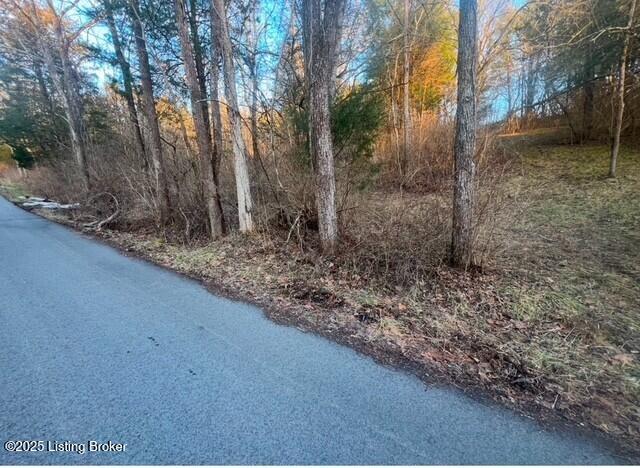 1008 Pattons Creek Road Pendleton, KY 40055 - Photo 32 of 40 1008 Patton Creek Rd