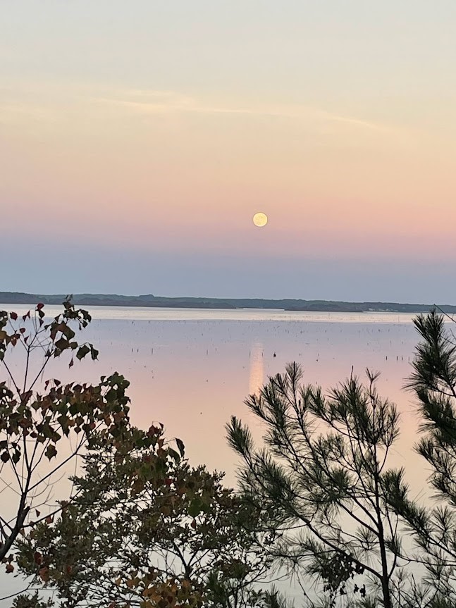 4001 East Carters Ferry Road Milam, TX 75959 - Photo 2 of 22 The sunrises and sunsets here are breathtaking!