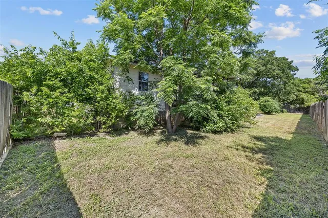 a view of a yard with plants