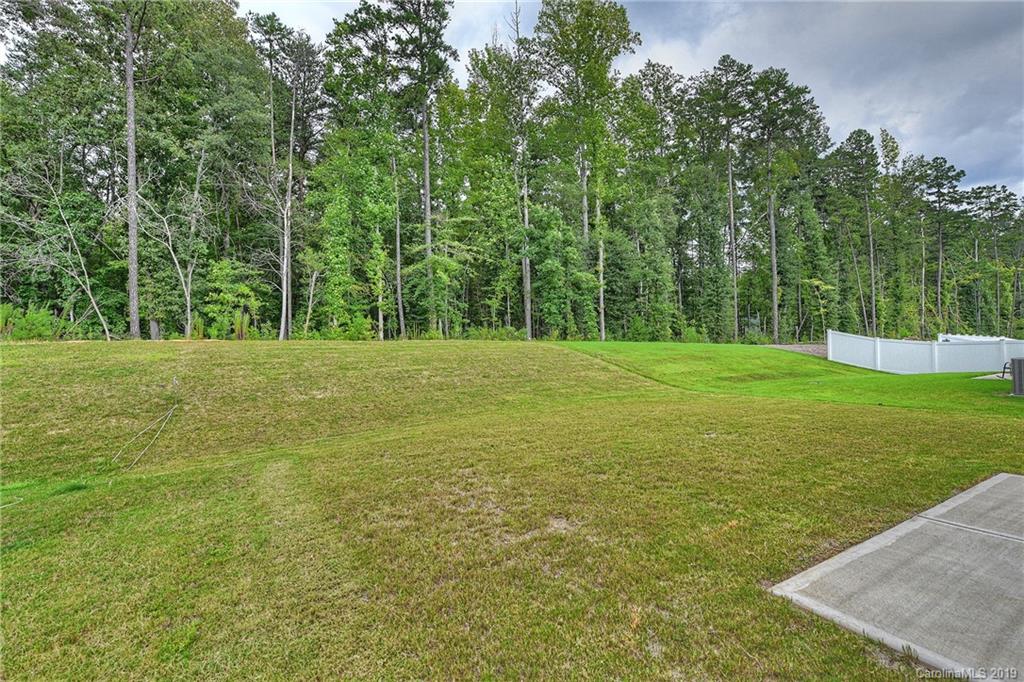 1580 Spring Blossom Trail Fort Mill, SC 29708 - Photo 20 of 22 a view of a grassy field with trees in the background
